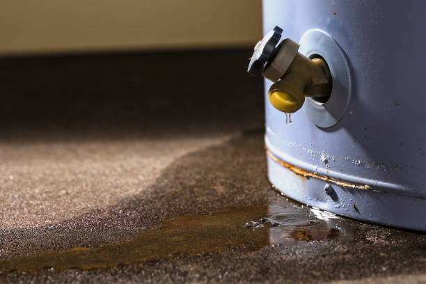 Best Water damage restoration near me  in Roan Mountain, TN