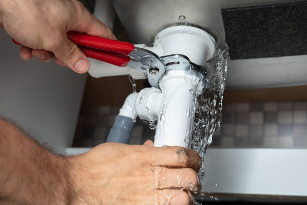 Best Water damage restoration experts  in Roan Mountain, TN