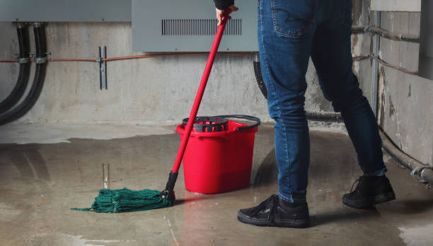 Best Water damage contractors near me  in Roan Mountain, TN