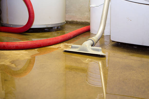  Roan Mountain, TN Water damage restoration Pros
