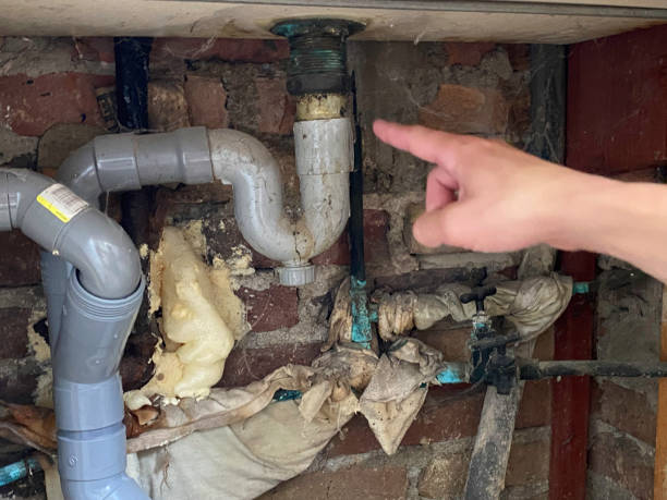 Best Water damage restoration company  in Roan Mountain, TN