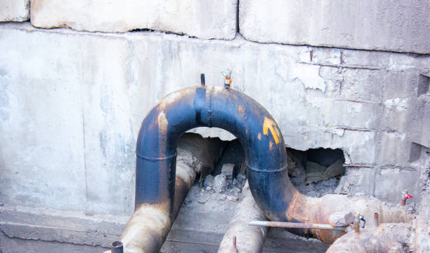 Best Sewage cleanup and water damage restoration  in Roan Mountain, TN