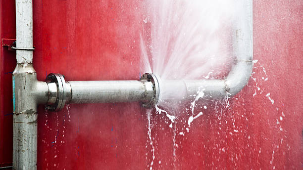 Best Flood damage cleanup  in Roan Mountain, TN