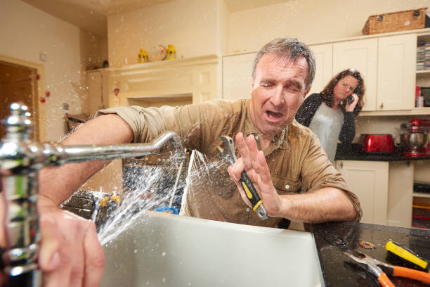 Best 24-hour water damage restoration  in Roan Mountain, TN